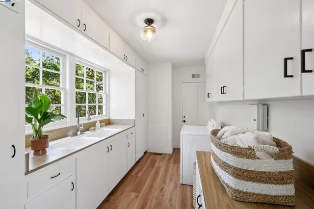 a view of a backyard with potted plants and a large tree