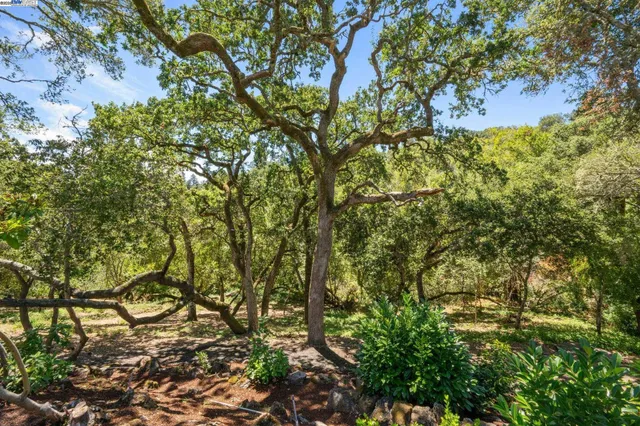 $2,695,000 | 11 Crane Court, Orinda, CA 94563