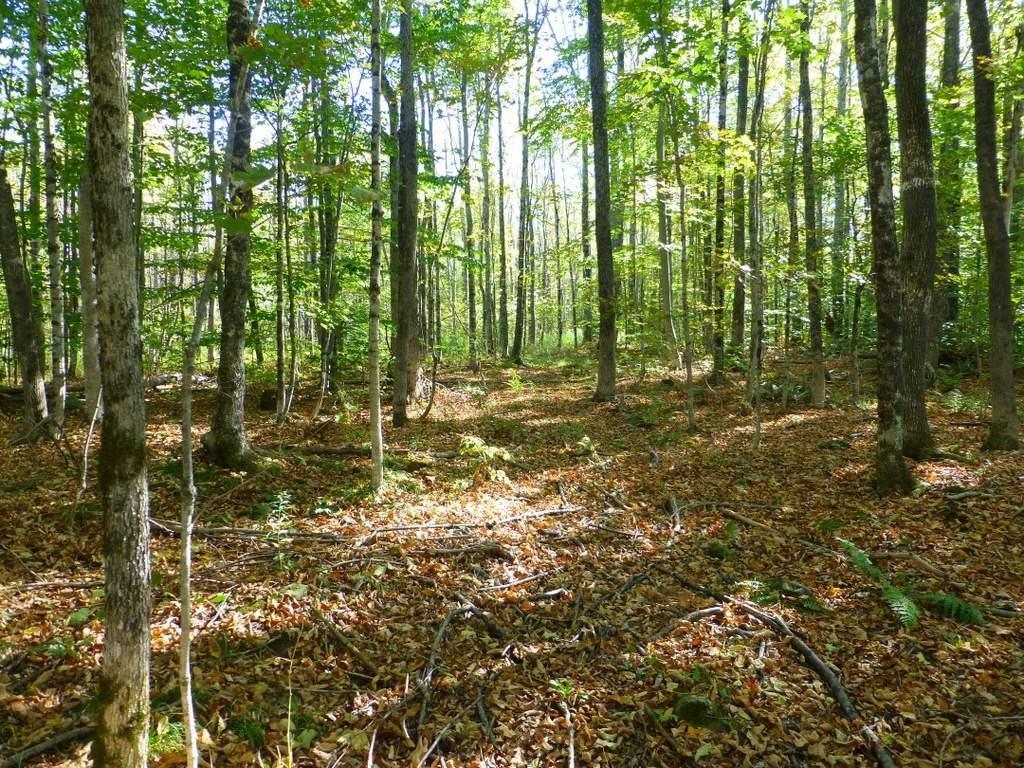 Tbd Weeks Mills Road Farmington, ME 04938 - Photo 11 of 20 Photo