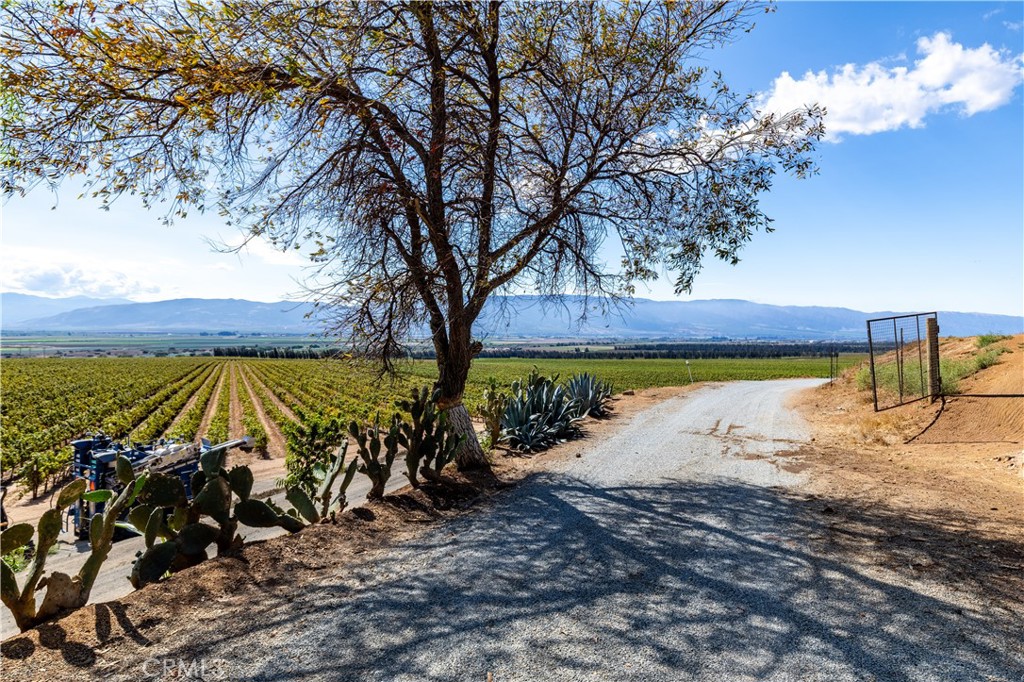 35095 Metz Road Soledad, CA 93960 - Photo 23 of 40 a view of a backyard of the house