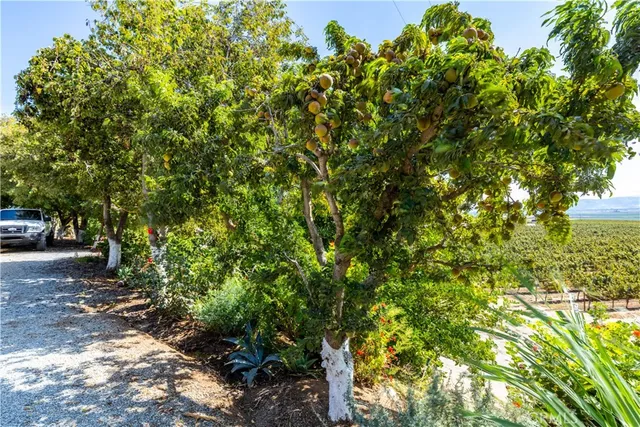 $6,300,000 | 35095 Metz Road, Soledad, CA 93960