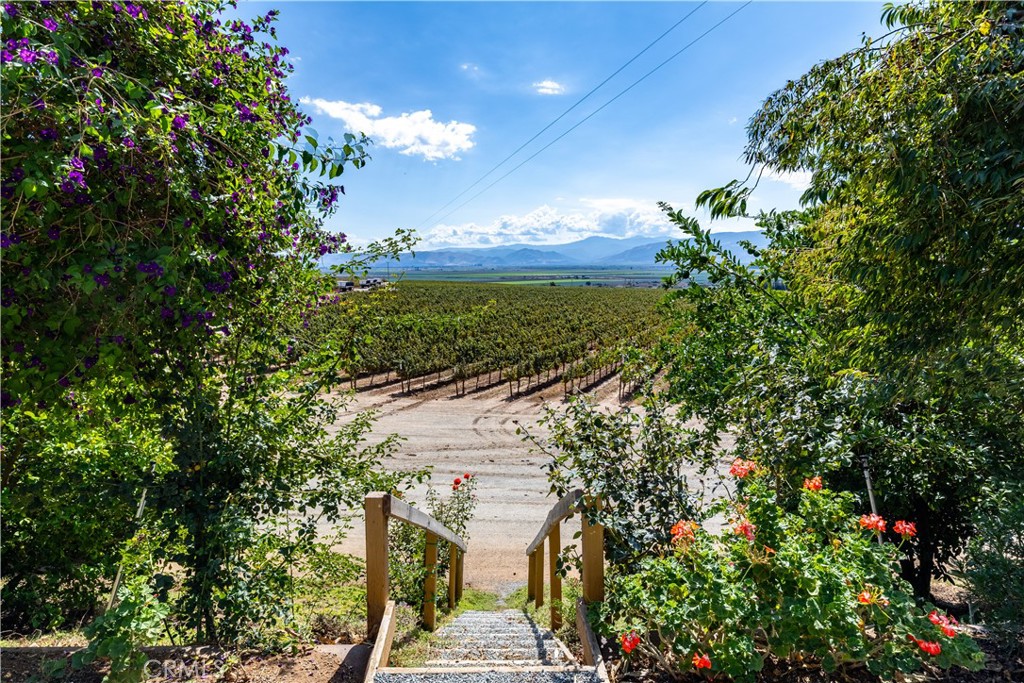 35095 Metz Road Soledad, CA 93960 - Photo 26 of 40