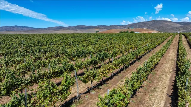 $6,300,000 | 35095 Metz Road, Soledad, CA 93960