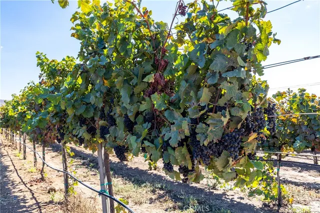 $6,300,000 | 35095 Metz Road, Soledad, CA 93960