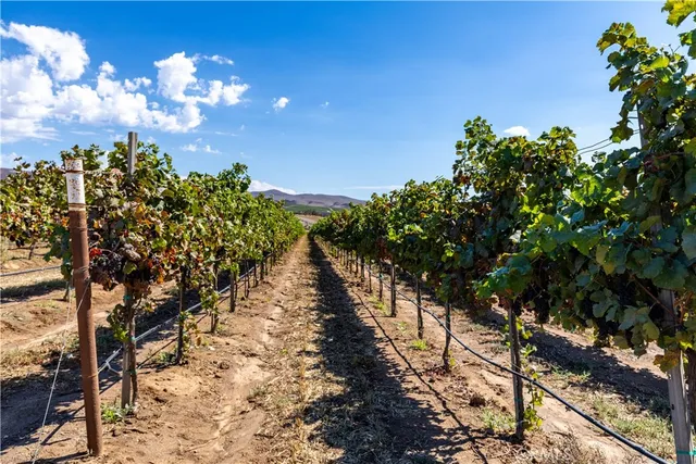 $6,300,000 | 35095 Metz Road, Soledad, CA 93960