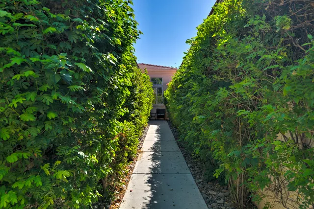 a view of a pathway both side of yard
