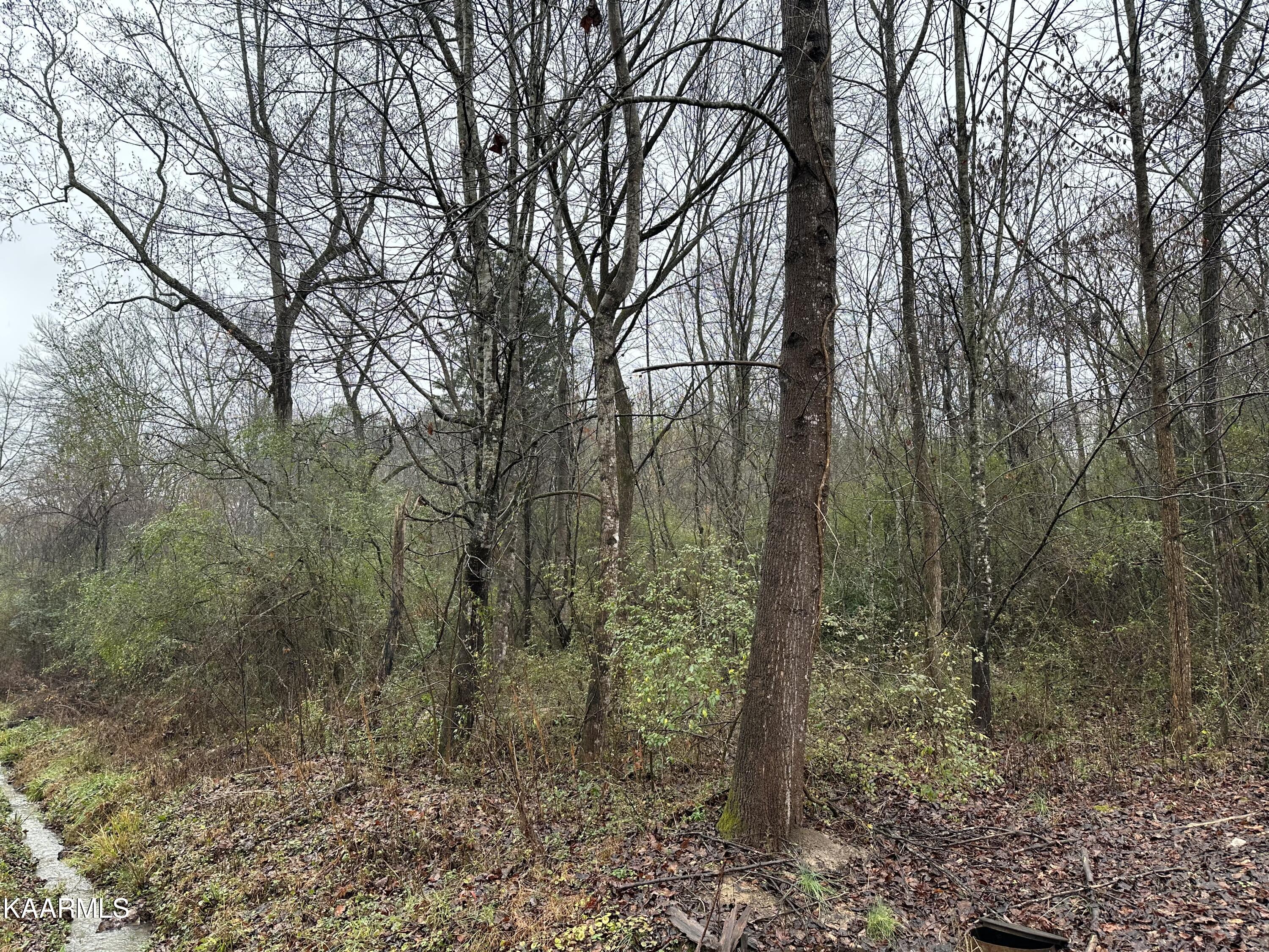 3200 White Wing Road Lenoir City, TN 37771 - Photo 2 of 3 IMG_4330