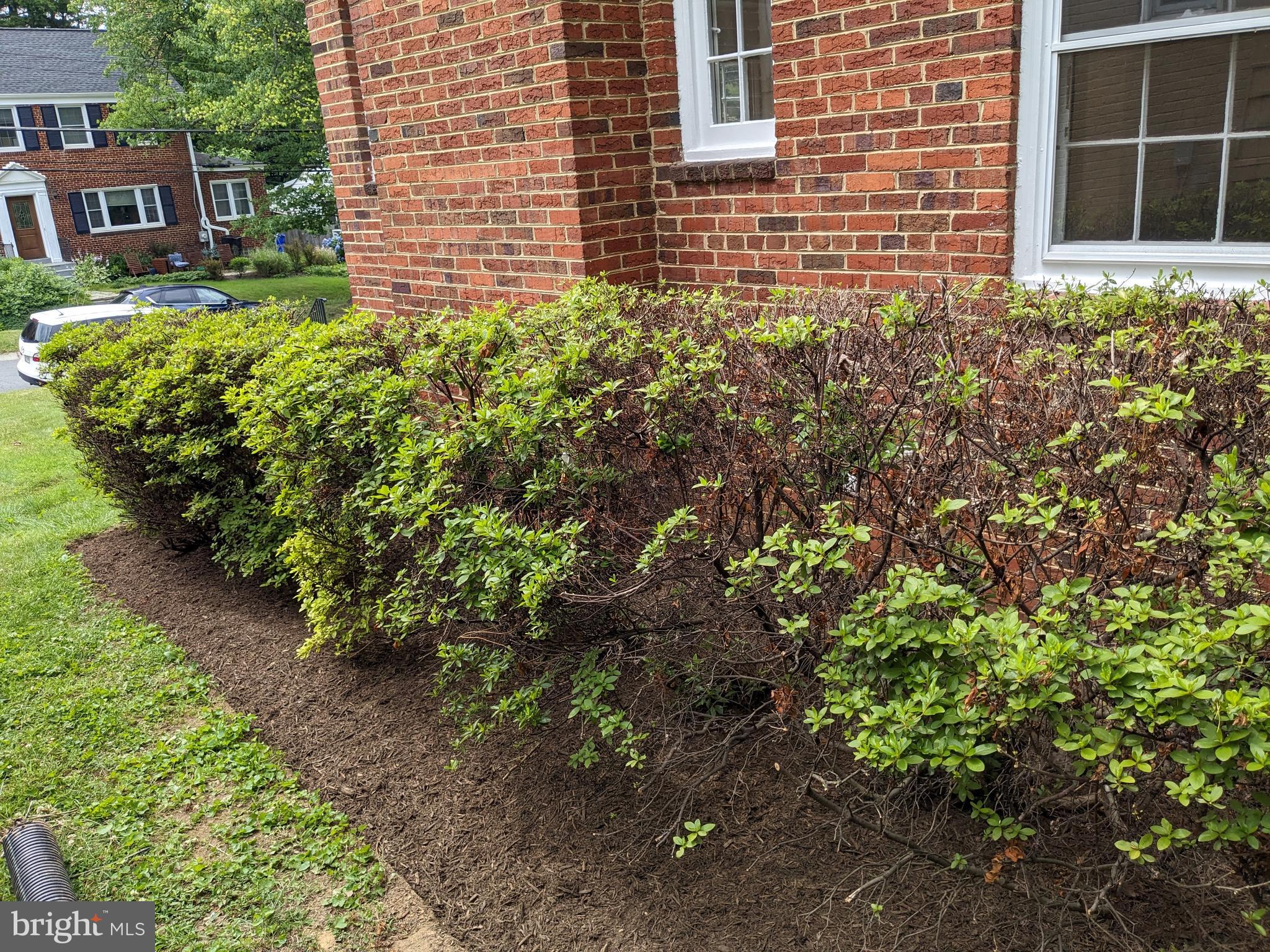 304 Mansfield Road Silver Spring, MD 20910 - Photo 29 of 29