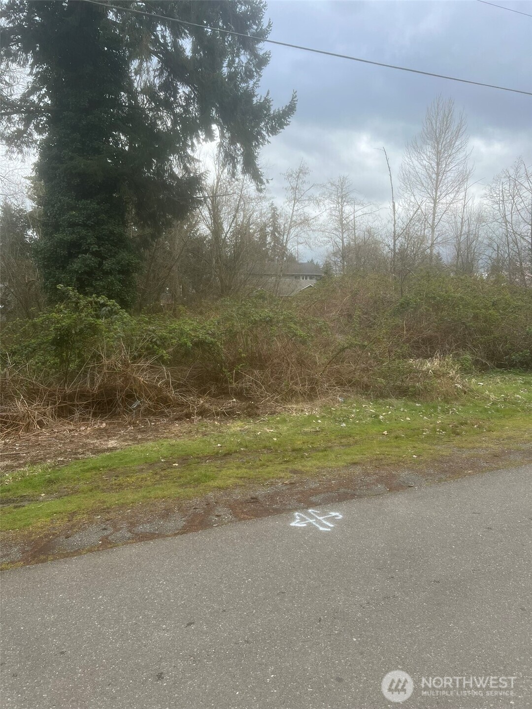 1318 130th Street Southeast, Unit A Everett, WA 98208 - Photo 2 of 2 a view of a yard next to a building