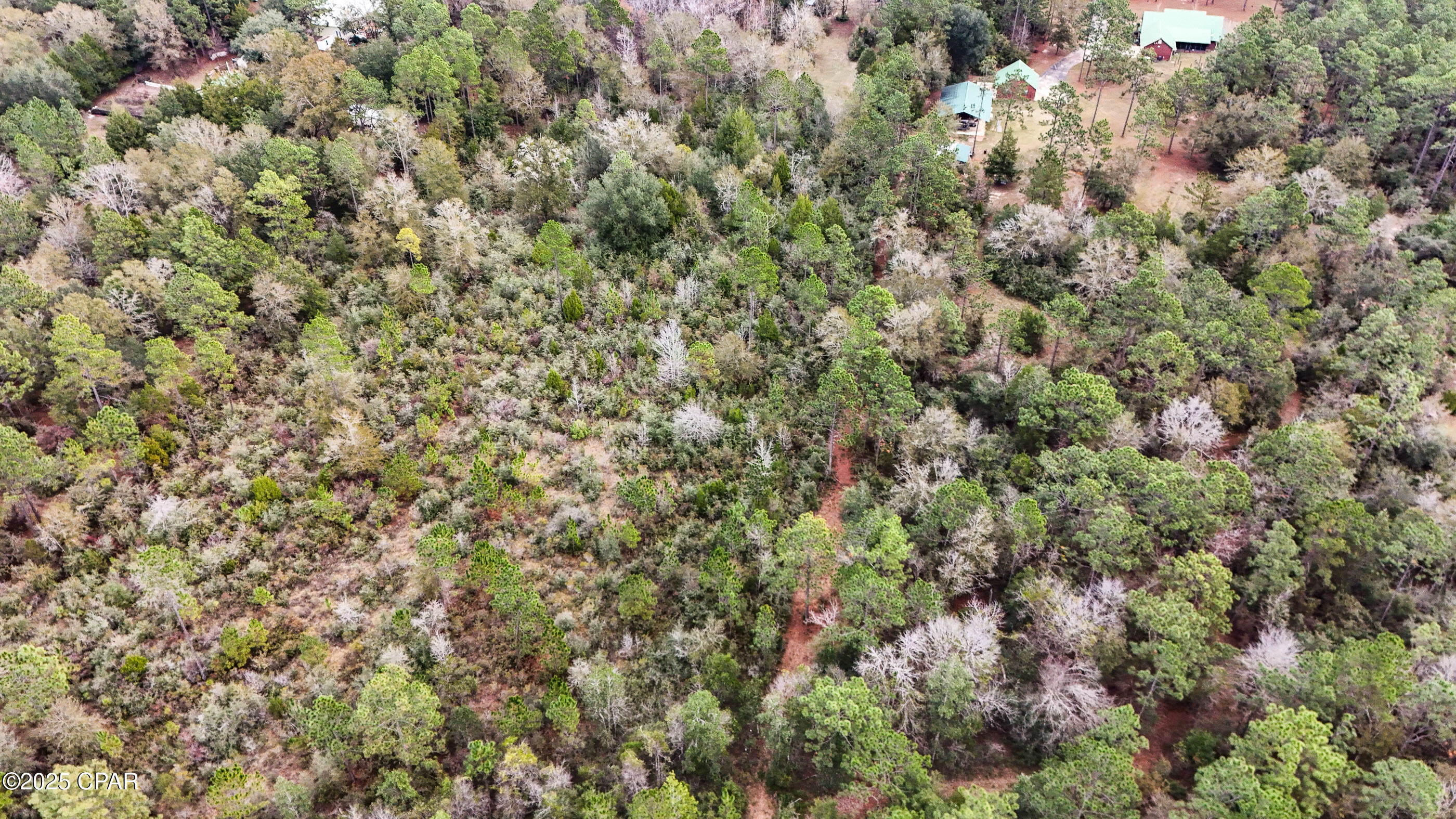 2676 West Sunlake Road Bonifay, FL 32425 - Photo 11 of 13