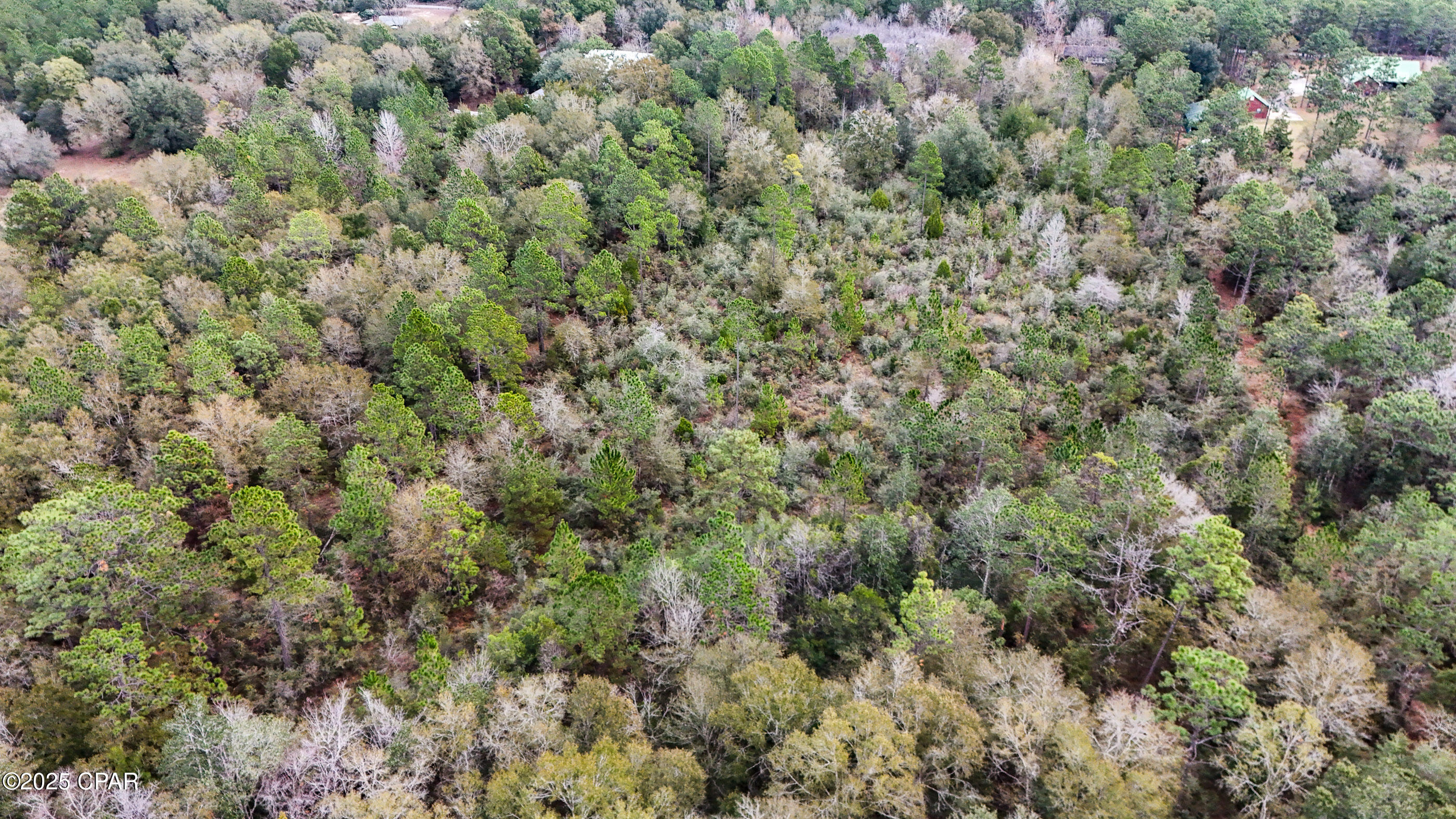 2676 West Sunlake Road Bonifay, FL 32425 - Photo 13 of 13