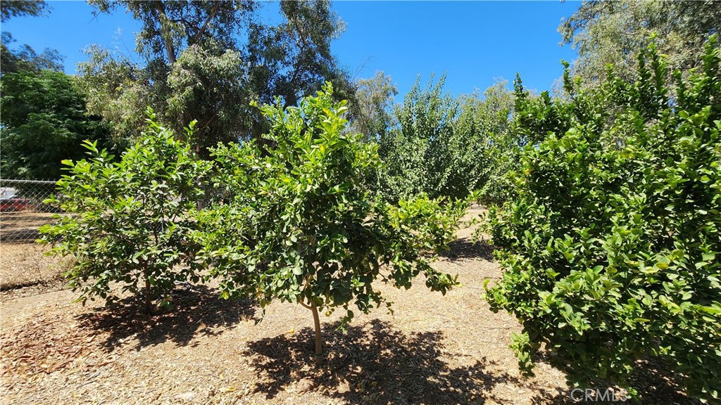 20243 Lee Road Perris, CA 92570 - Photo 66 of 75