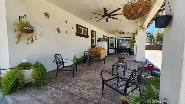 a view of a backyard with plants and tree
