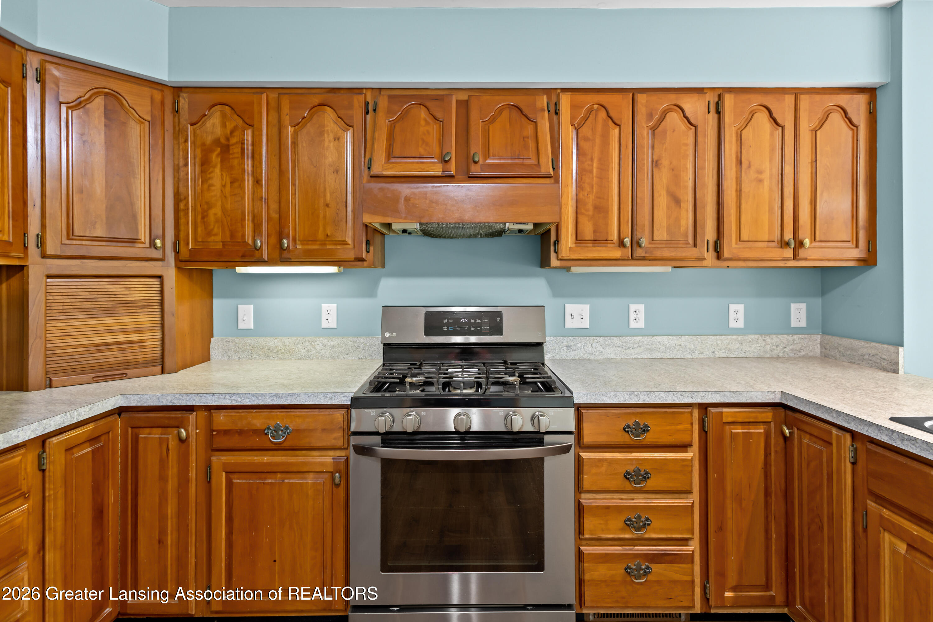1335 East Round Lake Road Dewitt, MI 48820 - Photo 17 of 83 ROUND LAKE-15