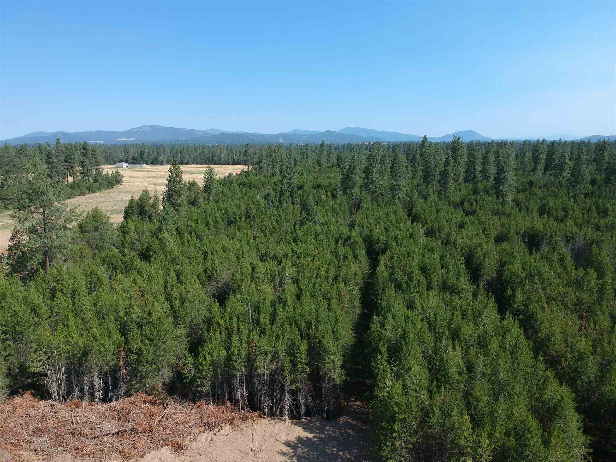 2118 West Montgomery Road Deer Park, WA 99006 - Photo 18 of 18 Gallery Image 18