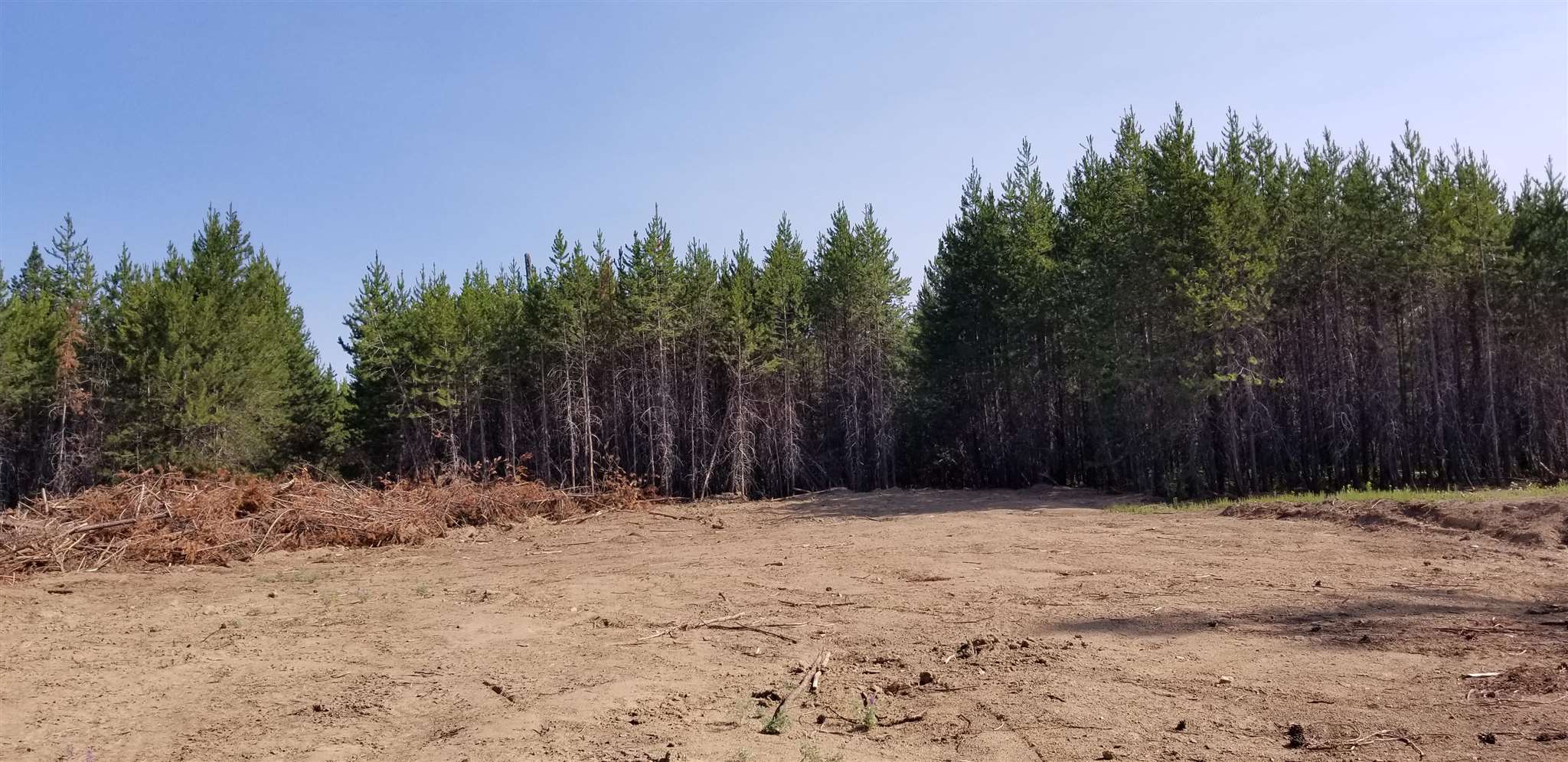 2118 West Montgomery Road Deer Park, WA 99006 - Photo 5 of 18 Gallery Image 5