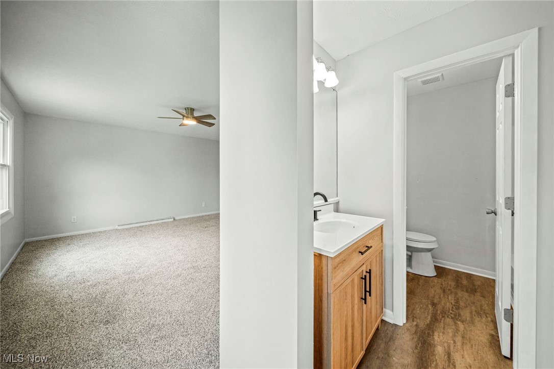 91 Paradise Road Painesville, OH 44077 - Photo 29 of 39 Bathroom with vanity and a ceiling fan
