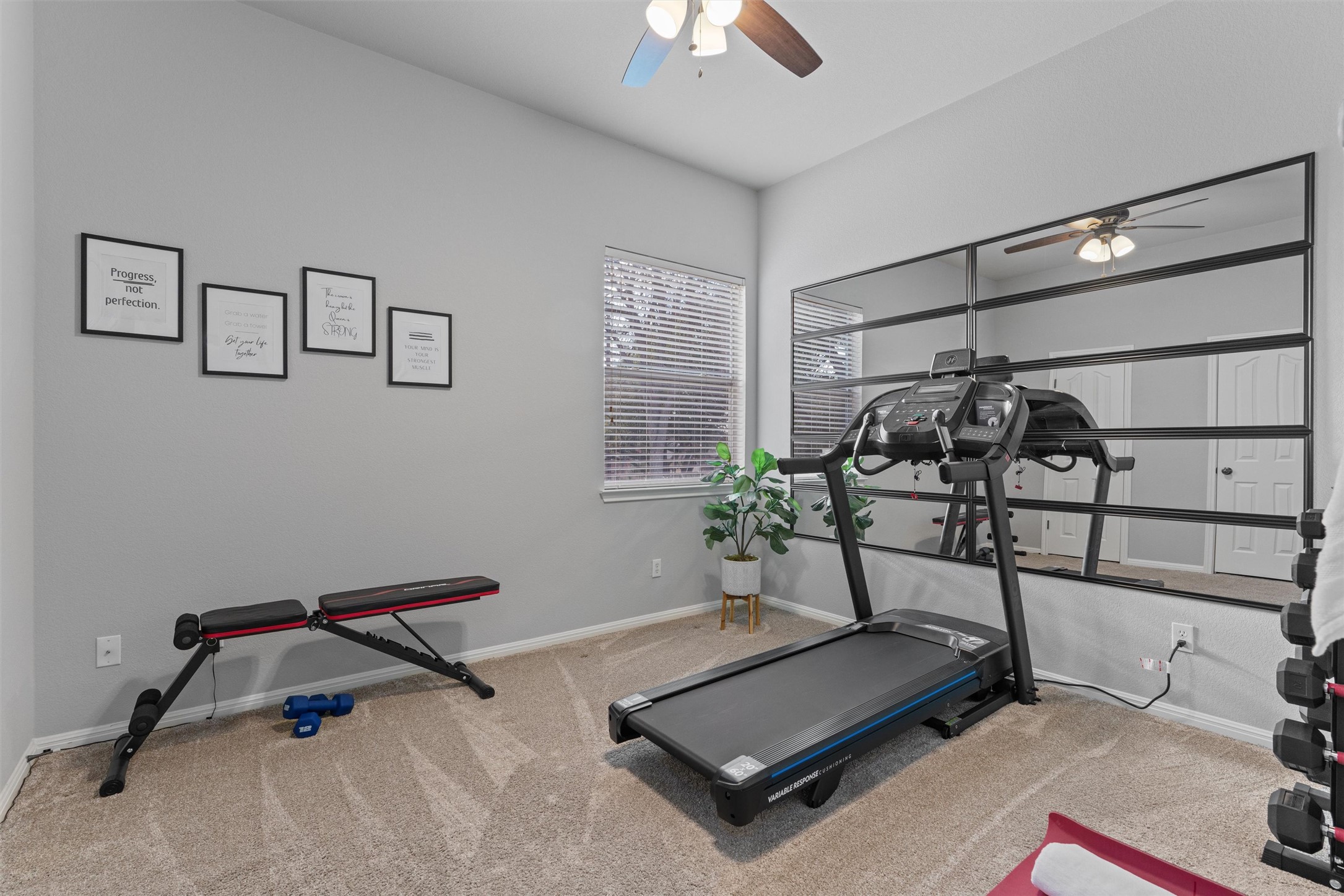 3736 Cerulean Way Round Rock, TX 78681 - Photo 14 of 36 Exercise room with ceiling fan and carpet