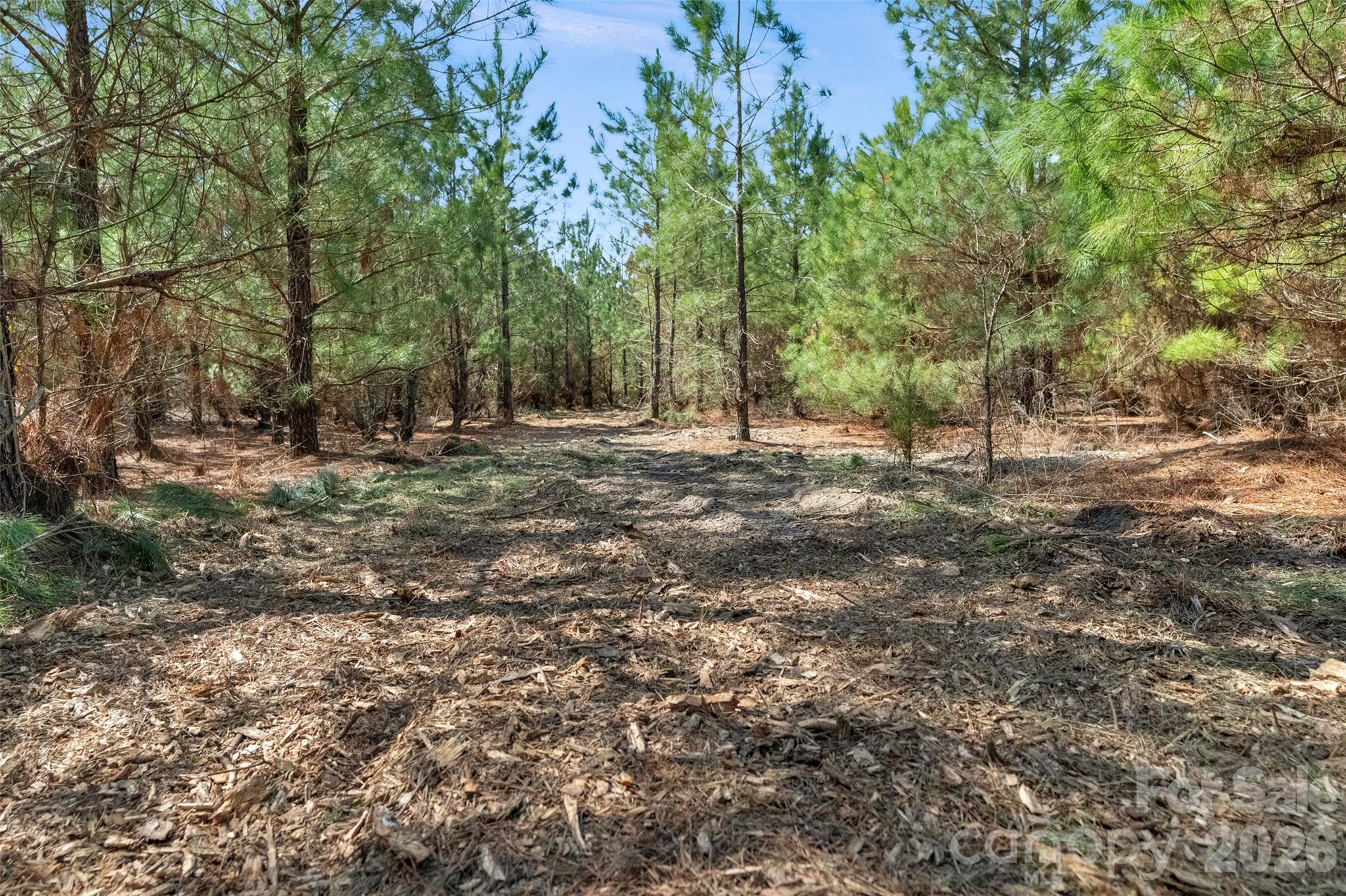 931 Charlie Johnson Road, Unit 11 Kershaw, SC 29067 - Photo 7 of 27 Gallery Image 7