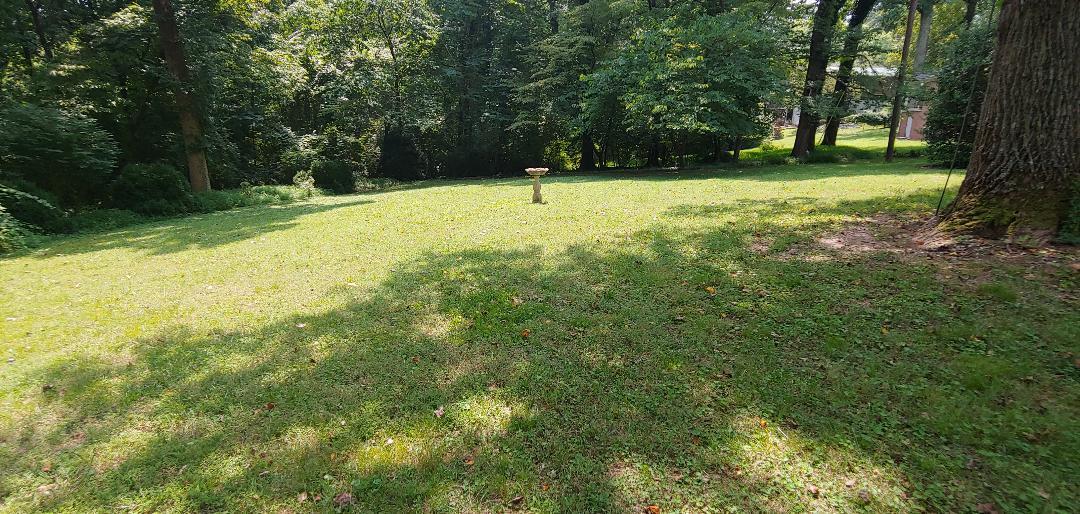 783 West Outer Drive Oak Ridge, TN 37830 - Photo 22 of 26 thumbnail (24)