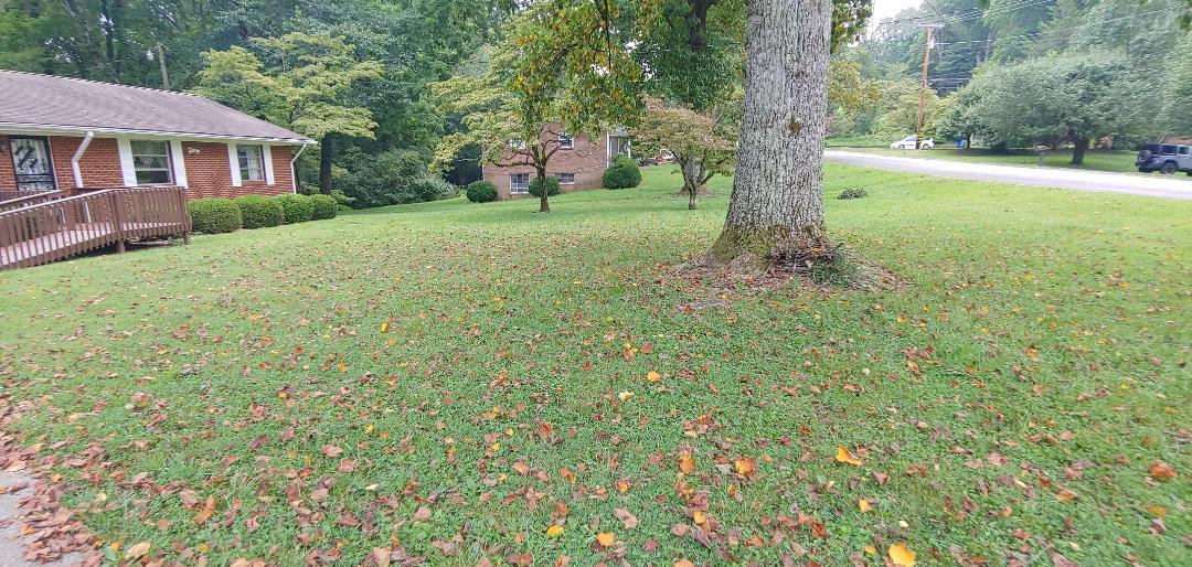 783 West Outer Drive Oak Ridge, TN 37830 - Photo 4 of 26 thumbnail (12)
