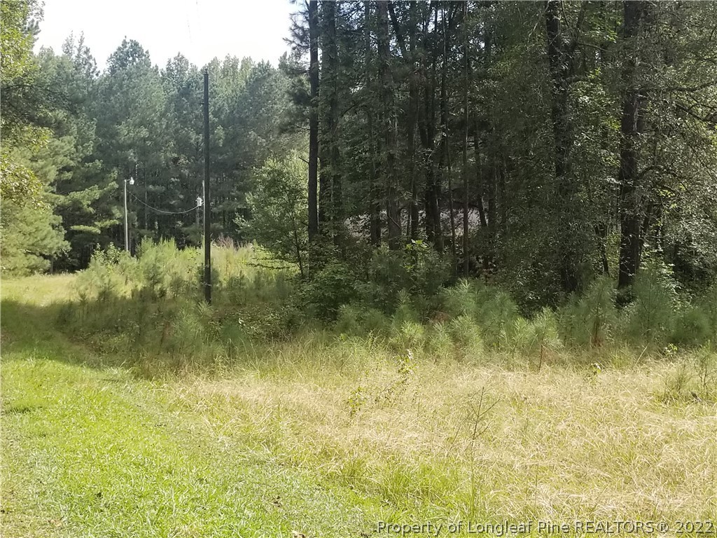 5800 River Road Wade, NC 28395 - Photo 23 of 23 Gallery Image 23