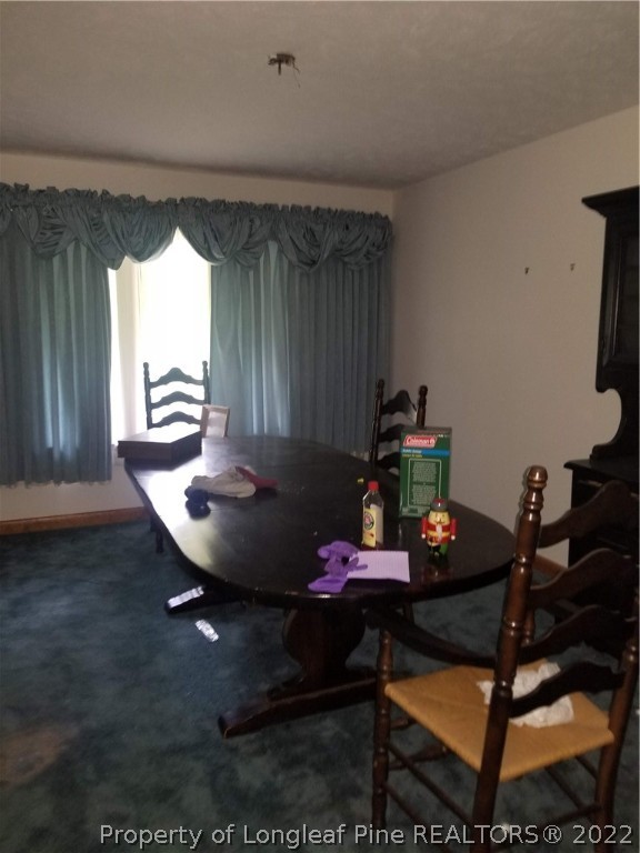 5800 River Road Wade, NC 28395 - Photo 10 of 23 Gallery Image 10