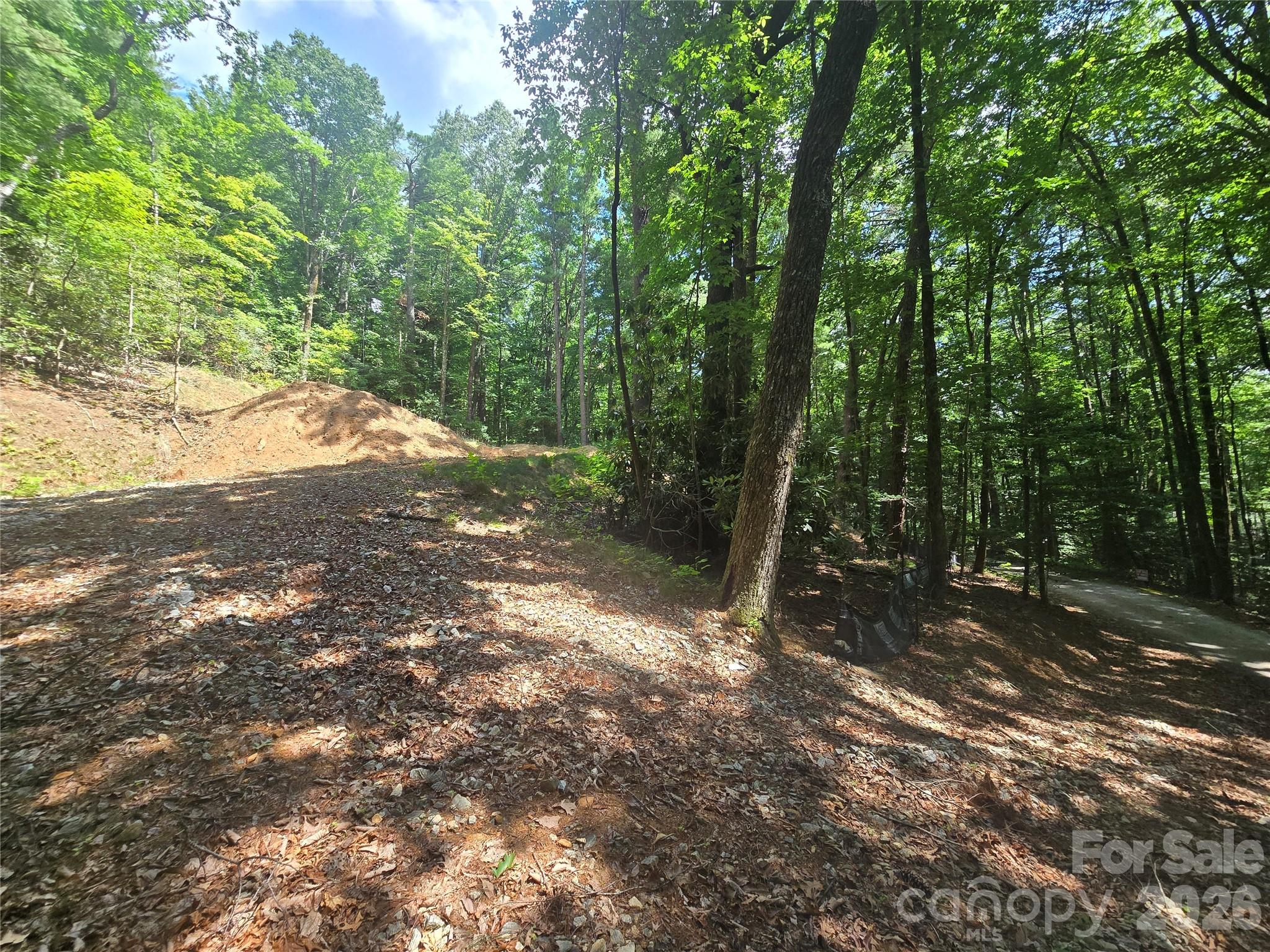 706 Highlands View Road Highlands, NC 28741 - Photo 5 of 10