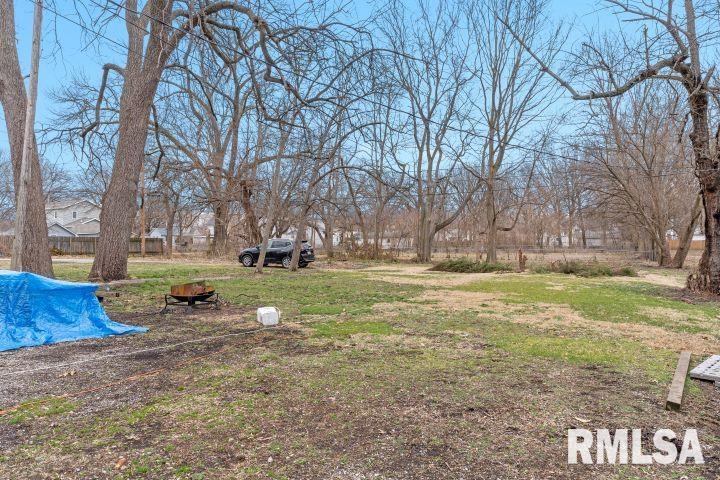 1036 North Rutledge Street Springfield, IL 62702 - Photo 29 of 30