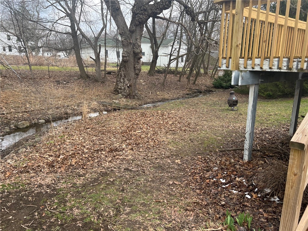 2709 Chestnut Street York, NY 14592 - Photo 5 of 27 peaceful back yard