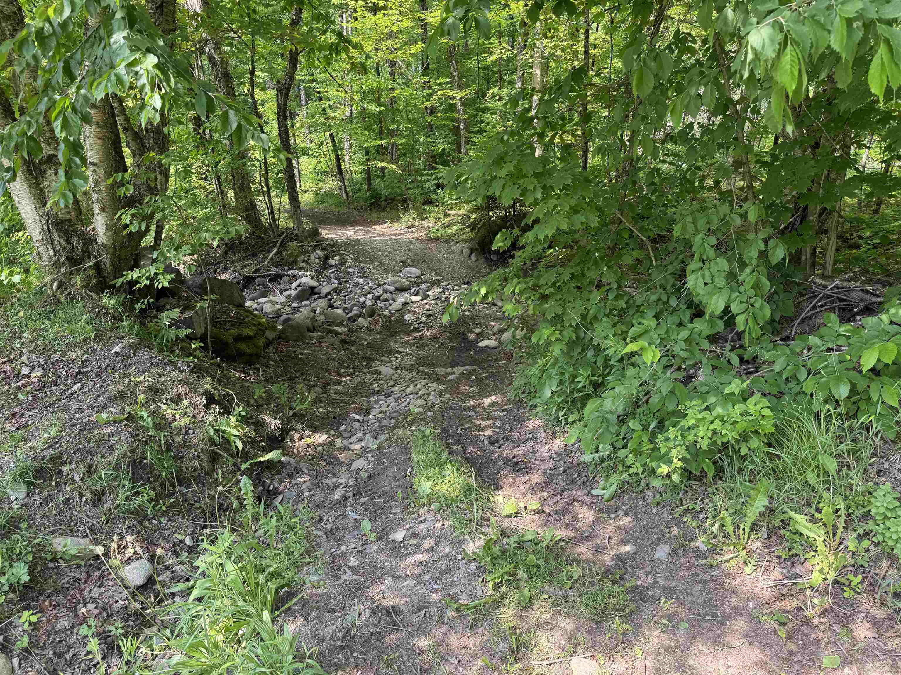 276 Minister Brook Road Worcester, VT 05682 - Photo 45 of 52
