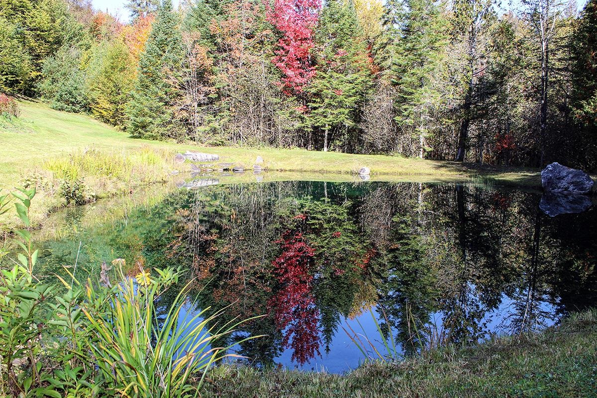 2890 Center Pond Road Newark, VT 05871 - Photo 51 of 51 Gallery Image 51