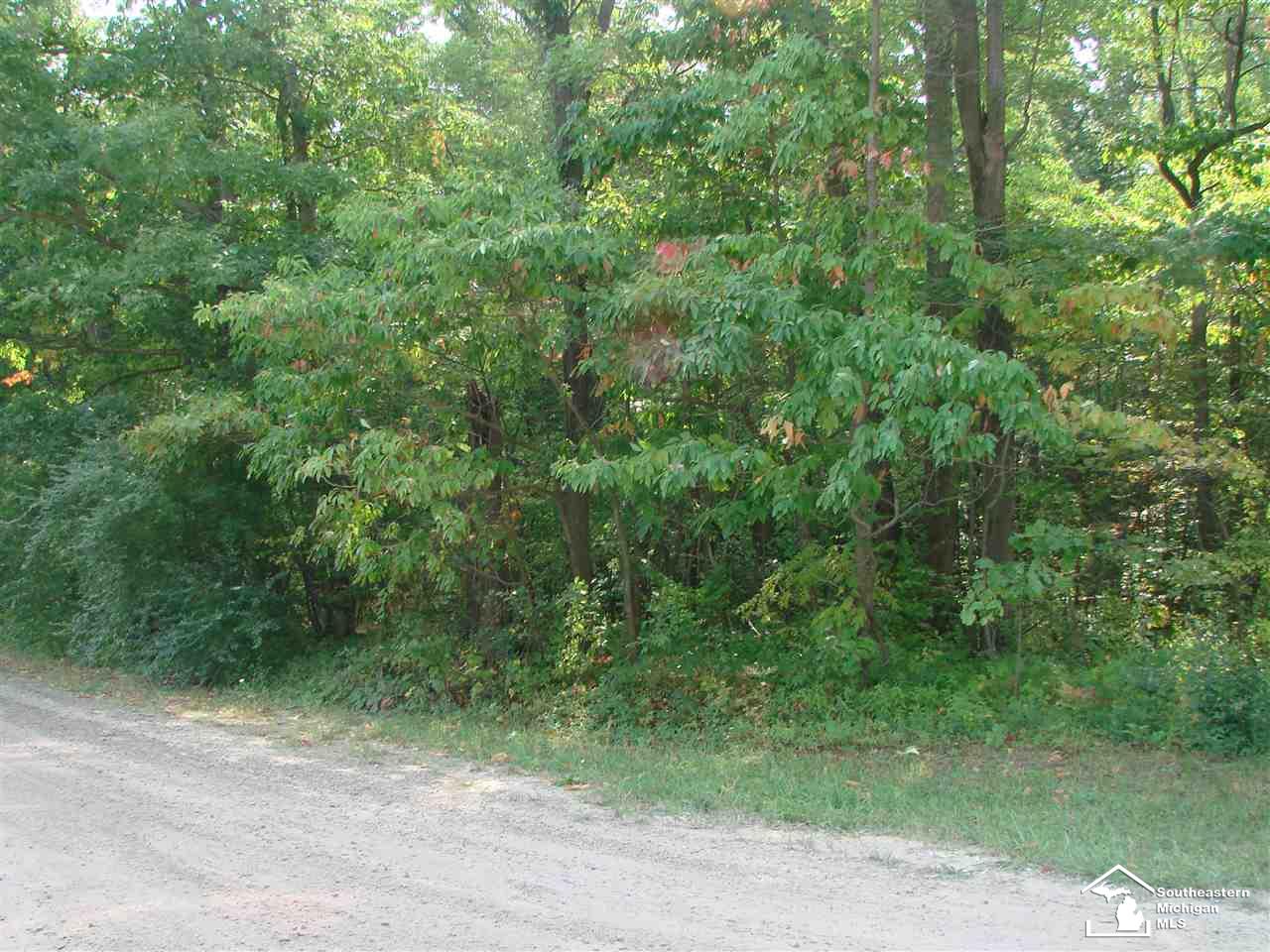 0 Wells Road Petersburg, MI 49270 - Photo 5 of 5