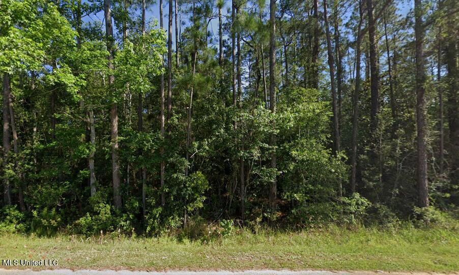 0 Comanche Street Kiln, MS 39556 - Photo 1 of 2 street view