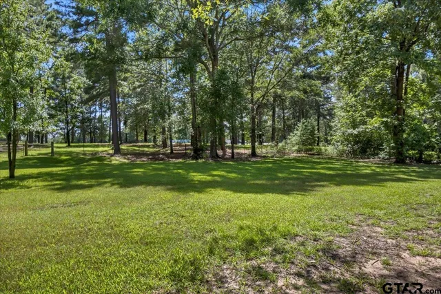 a view of a grassy field with trees
