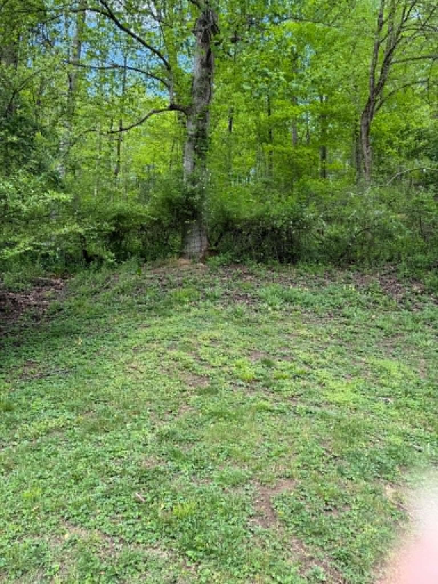 6809 Johnson Fork Road Catlettsburg, KY 41129 - Photo 36 of 42