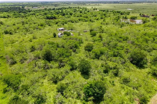 a view of a big yard with lots of trees
