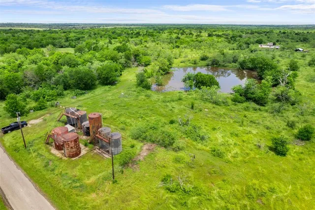 a view of a backyard with plants and a fountain