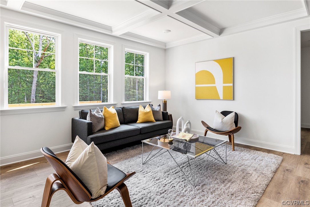 8357 Capernwray Drive Chesterfield, VA 23838 - Photo 12 of 50 a living room with furniture and a window