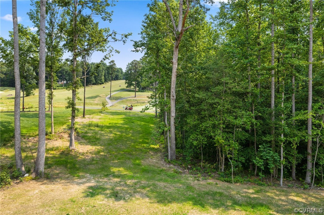 8357 Capernwray Drive Chesterfield, VA 23838 - Photo 47 of 50 a view of a garden with a patio