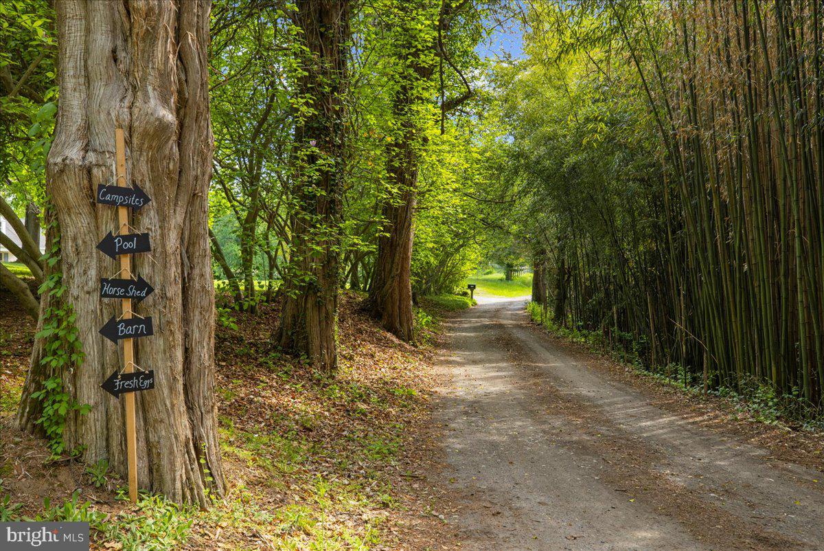 1116 Gum Bottom Road Crownsville, MD 21032 - Photo 5 of 34