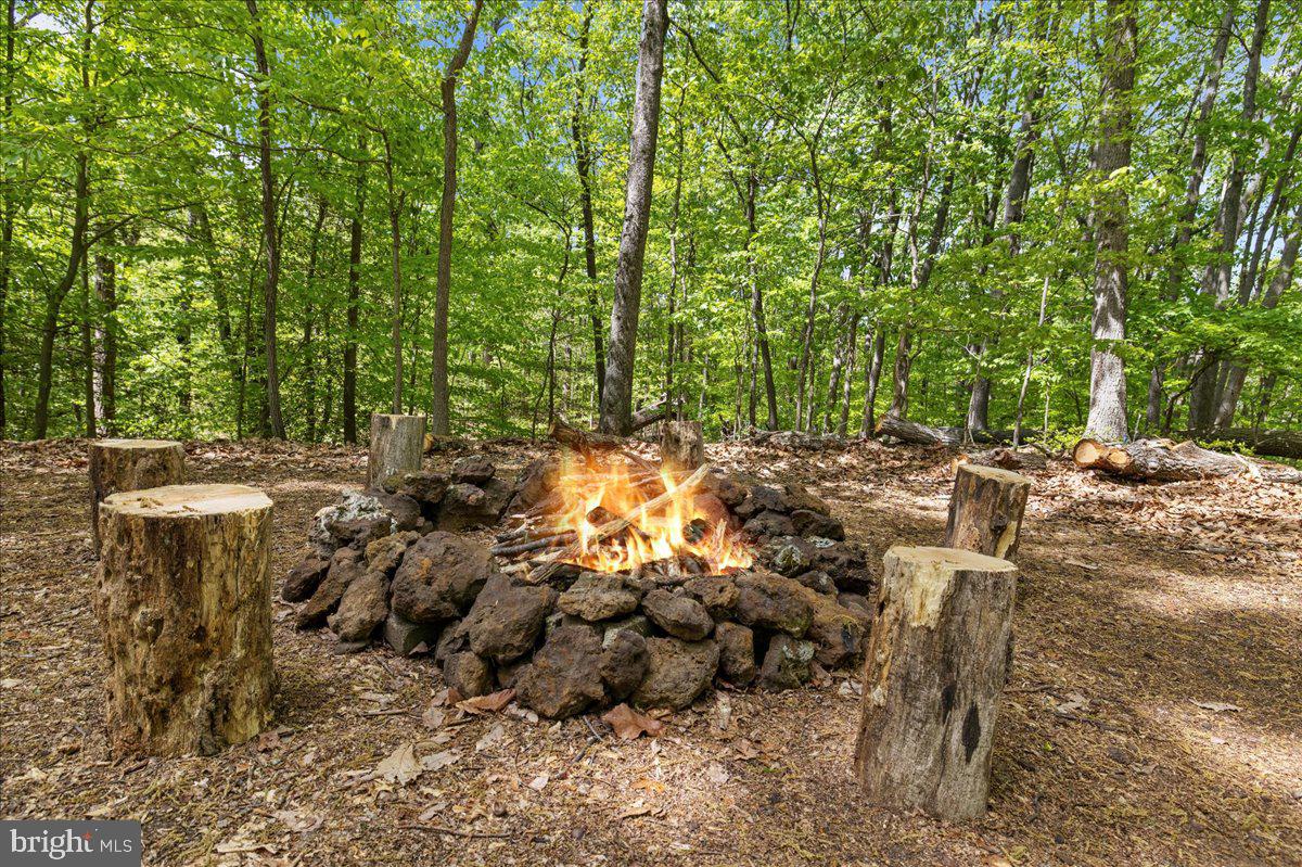 1116 Gum Bottom Road Crownsville, MD 21032 - Photo 69 of 98 Campsite at the top of the hill -3/4 mile walk est