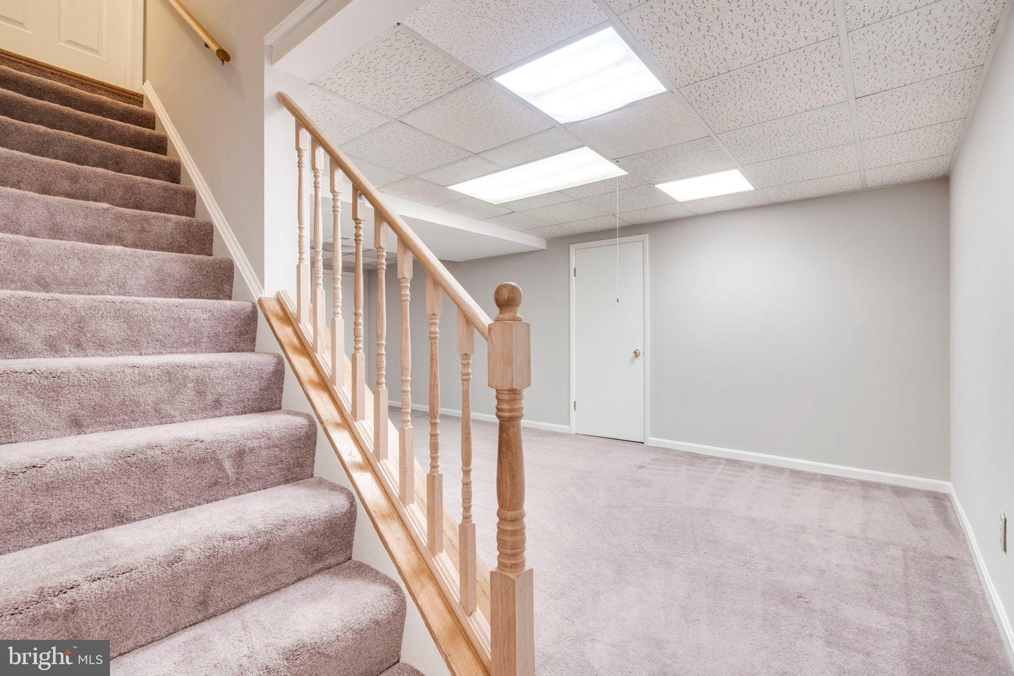 8817 Cuttermill Place Springfield, VA 22153 - Photo 21 of 37 Large Spacious Basement