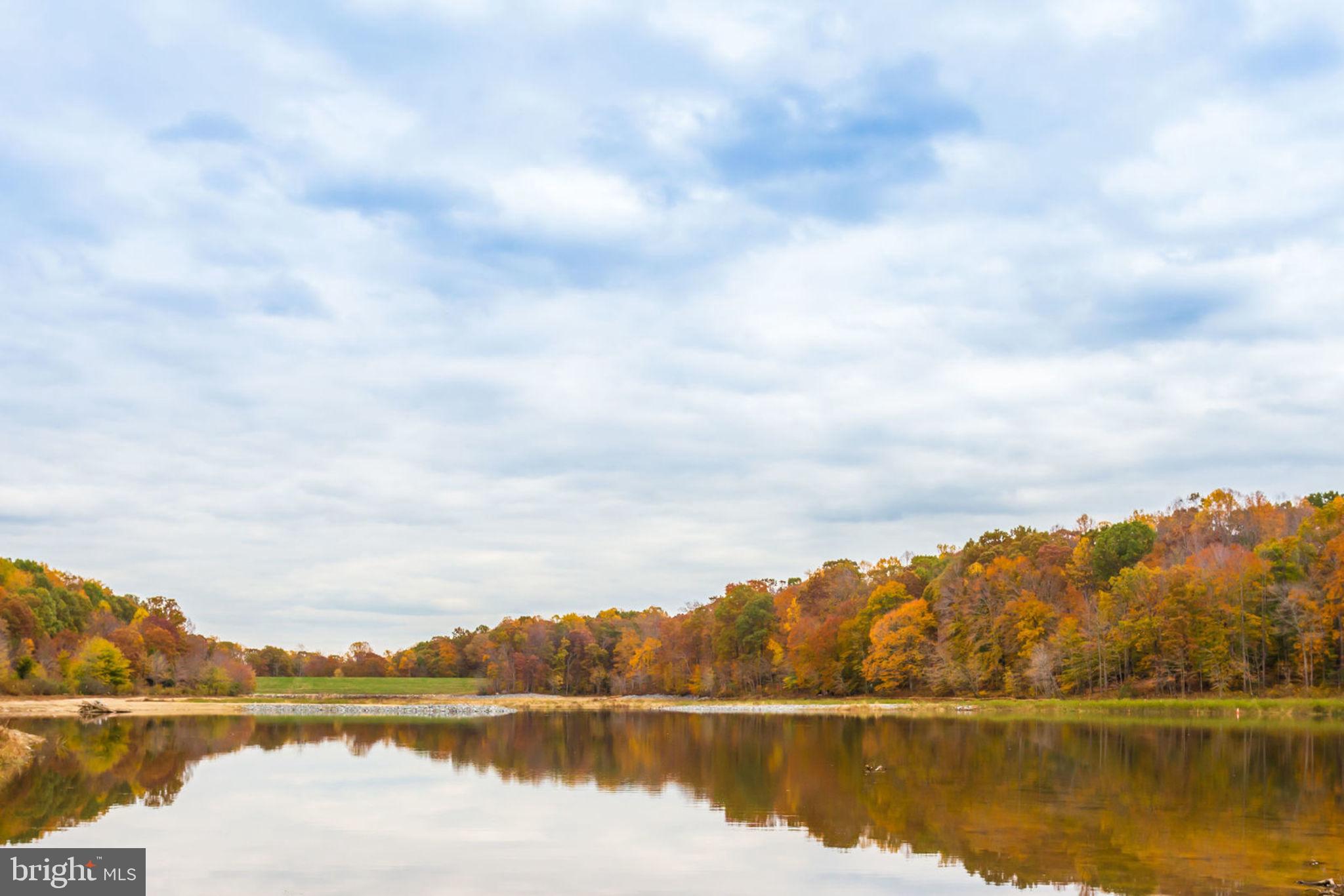 8817 Cuttermill Place Springfield, VA 22153 - Photo 36 of 37
