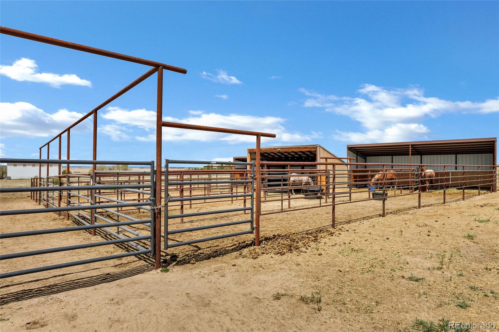 24315 Speer Road Calhan, CO 80808 - Photo 30 of 36