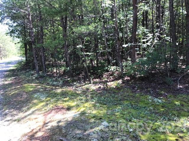 0 Wreck Drive Rutherfordton, NC 28139 - Photo 2 of 4 Gallery Image 2