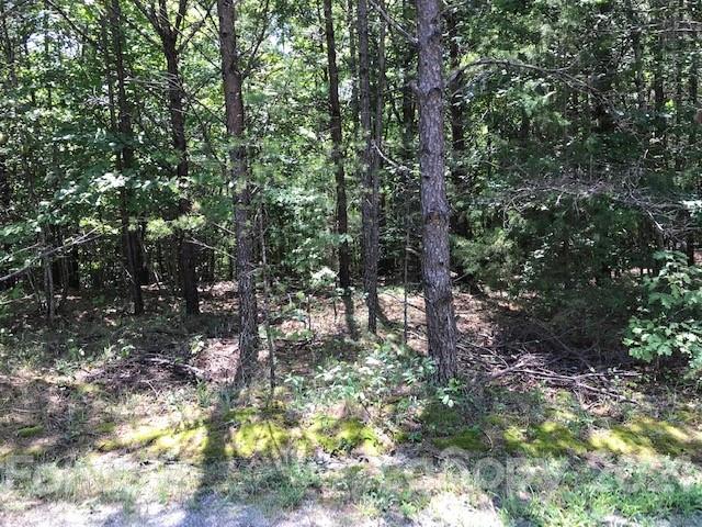 0 Wreck Drive Rutherfordton, NC 28139 - Photo 3 of 4 Gallery Image 3