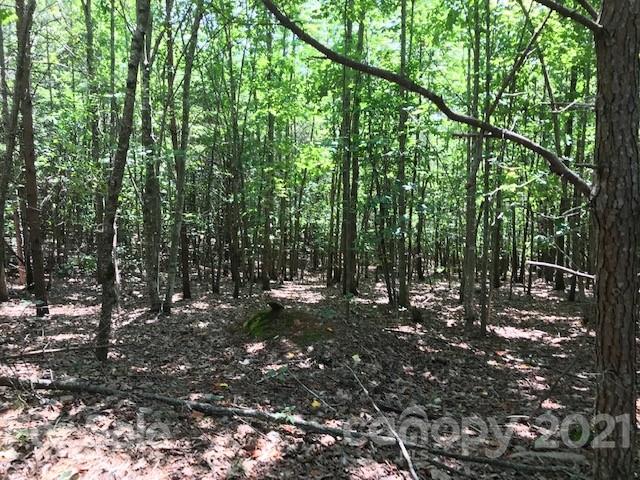 0 Wreck Drive Rutherfordton, NC 28139 - Photo 4 of 4 Gallery Image 4