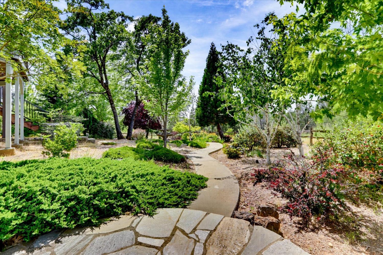 970 Morgan Ranch Drive Grass Valley, CA 95945 - Photo 59 of 76