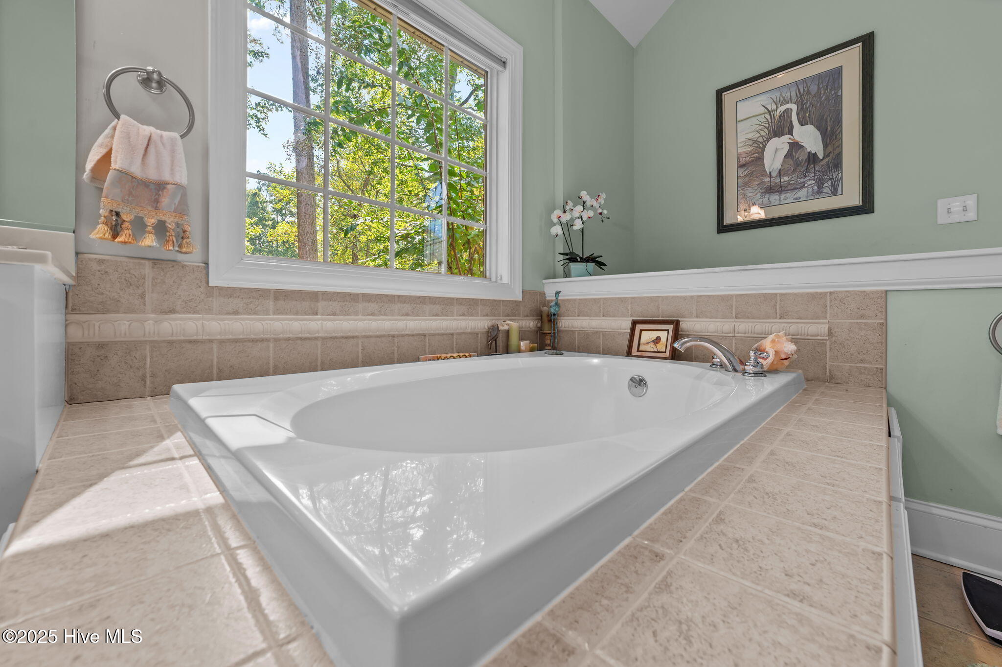 103 York Court Chocowinity, NC 27817 - Photo 34 of 53 25-web-or-mls-LHV_4176